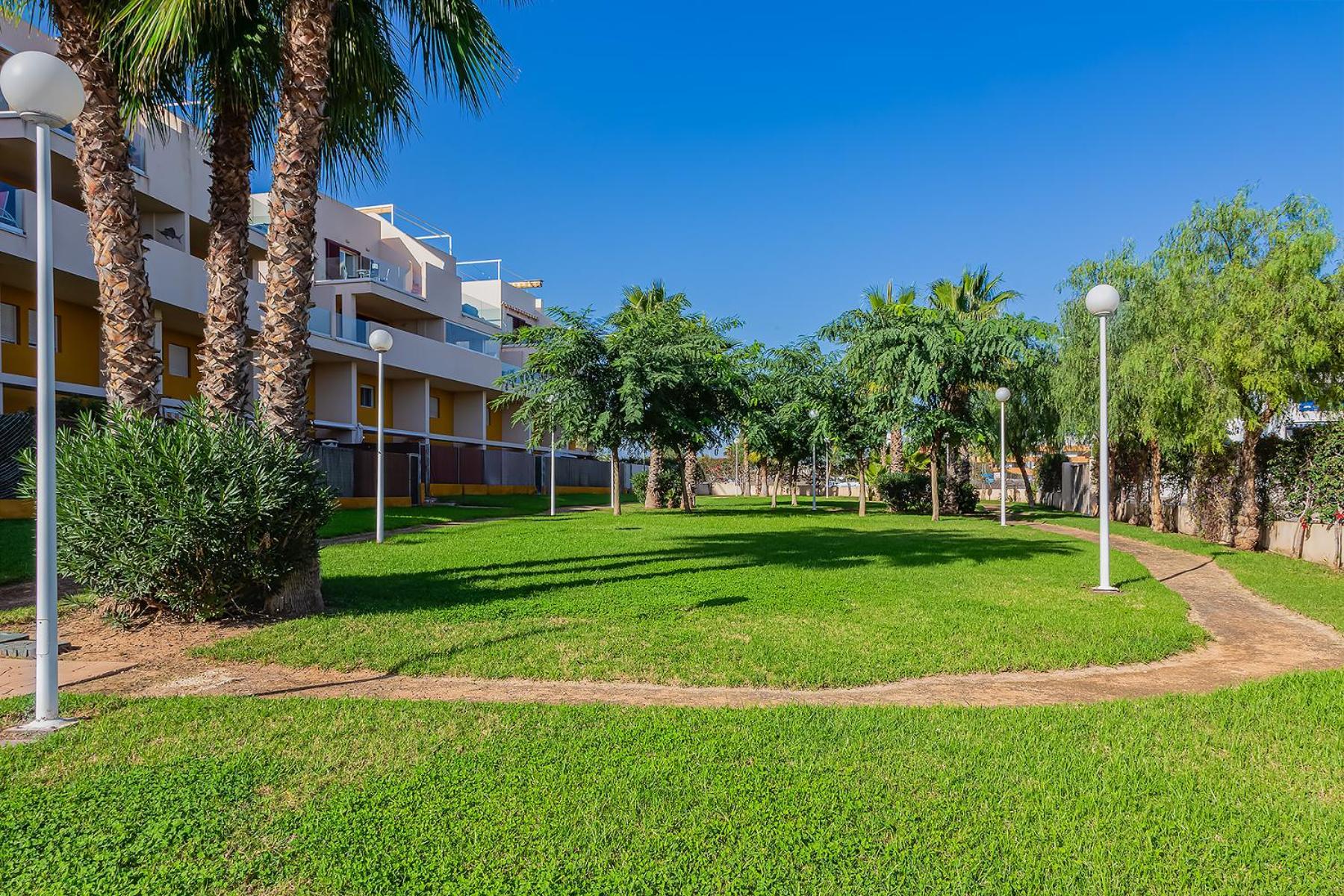 Playa Flamenca Apart Olga Dehesa de Campoamor  Exterior foto